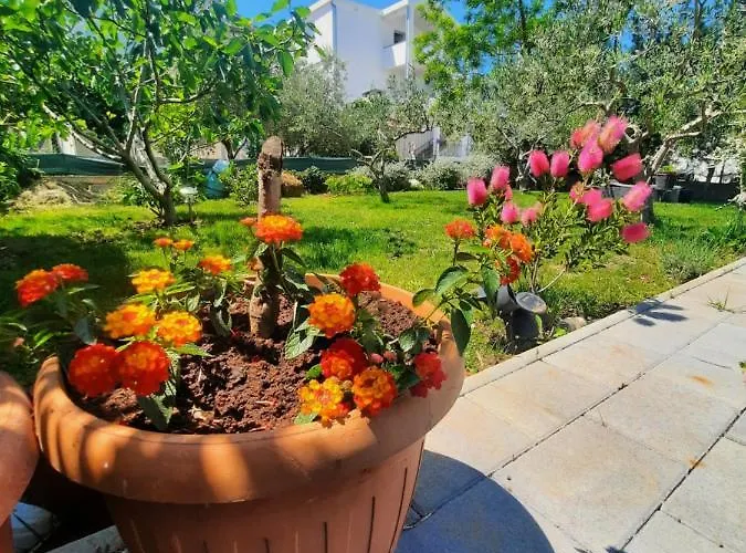 דירה Noa's Garden *