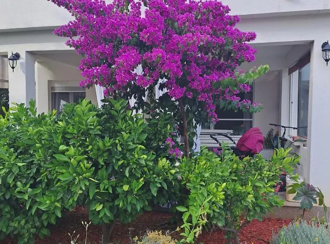 Noa's Garden شقة *