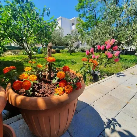 Διαμέρισμα Noa's Garden *