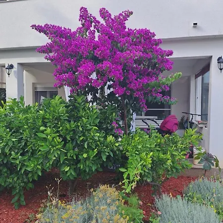 Noa's Garden Apartment *