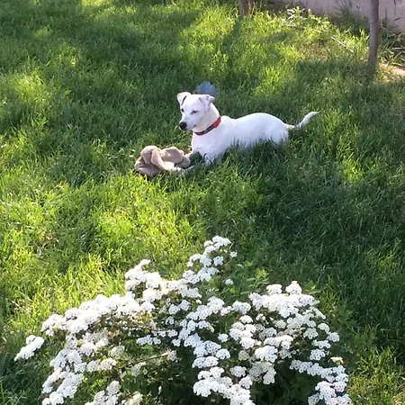 Appartement Noa's Garden