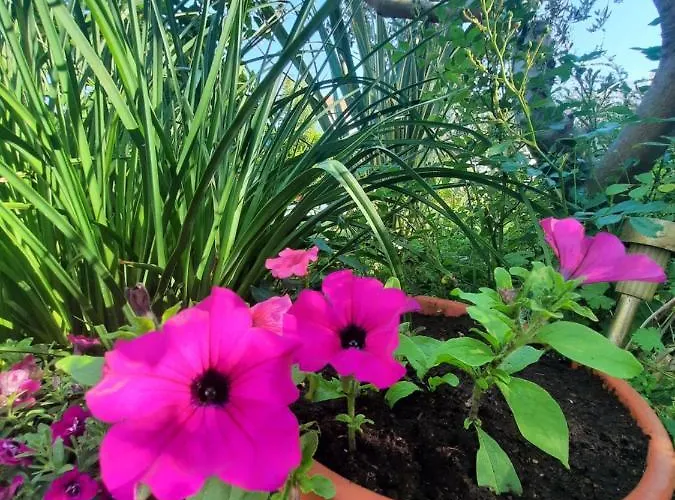 Noa's Garden Bibinje